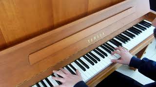 Martin Garrix - Pizza (Piano Arrangement By Danny Rayel)