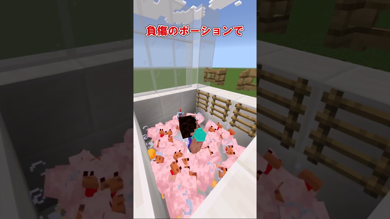 【マイクラ】''チキンランチャー''を知っていますか？ #shorts #マインクラフト