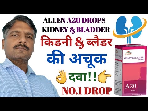 Kidney and Bladder Pain ? Kidney and Bladder Homeopathy | Allen A20 Kidney And Bladder Drops Uses