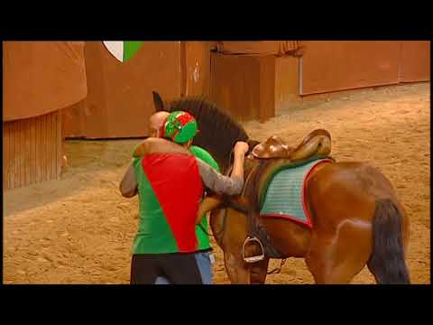 GIOSTRA DELL'ORSO: COSA CAMBIA