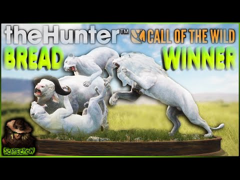 We Got A BEAUTIFUL Albino Lion To Complete An All Albino Breadwinner Multi Mount! Call of the wild