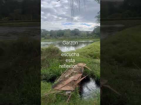 #reflexion ,garzon huila, escucha esta reflexion