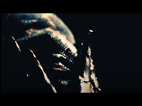 Sleep Signals - Fearless - Official Music Video