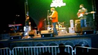 Miniature Tigers playing Gold Skull