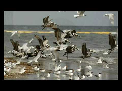 MAKE IT STOP--PART 32--RUDE AWAKENING--OFFICIAL HD