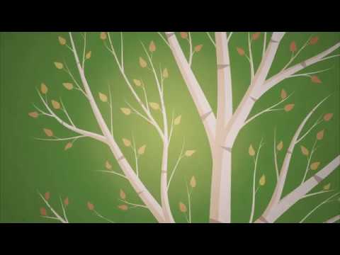 Nick Byrne - Birch Tree (Audio)