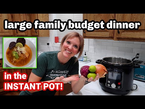 LARGE FAMILY CHEAP DINNER IN THE INSTANT POT | COOK WITH ME ON A BUDGET