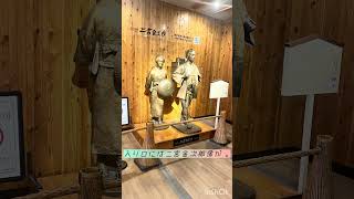 【vlog】整いvlogミニ。in 豊洲#リフレッシュ #vlog #温泉