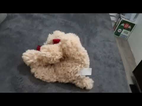 Its so cute and its new I got it yesterday😛😛😛😛😛😛