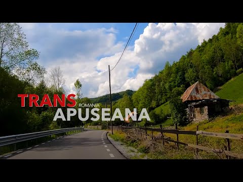 A panoramic look at TransApuseana – Fast and spectacular! 🚗🌲