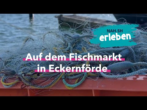 Auf dem Fischmarkt in Eckernförde