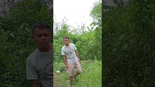 Download lagu video lucu bikin ngakak hiburan warga 62 #funny #comedyterbaru #comedy mp3