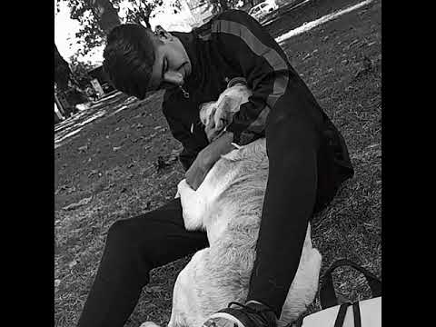 bajo mi punto de vista