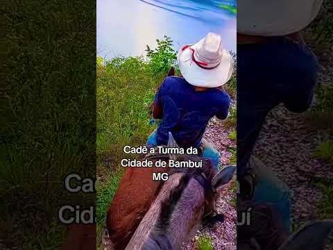 Cadê a turma da Cidade de Bambuí MG @tvbambui #cidade  #roça #fazenda #turismo #agro #viral