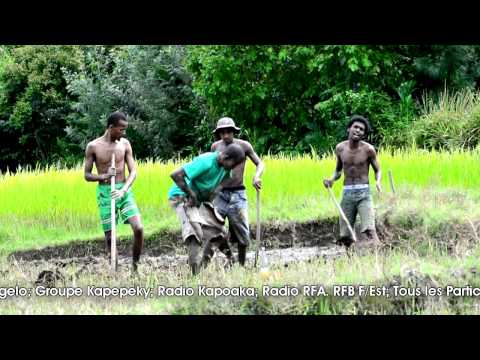 KAPEPEKY   Sarotro velontegna