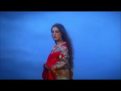 Silhouette - Birdy