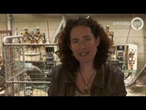 Aflevering 8 Gemaakt in Gelderland (23 mei 2016)