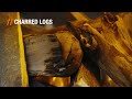 Troncos Reality Deluxe Logs