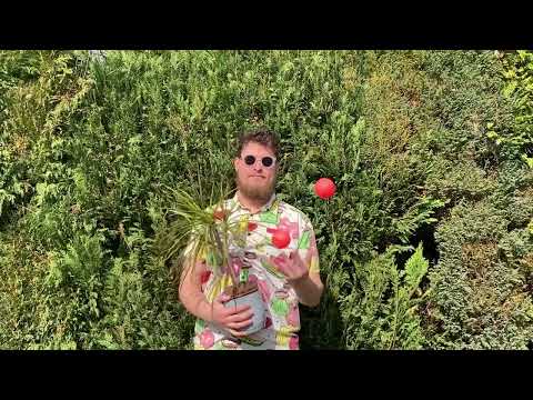 23/03/22 What makes you smile? #paradeofhorribles