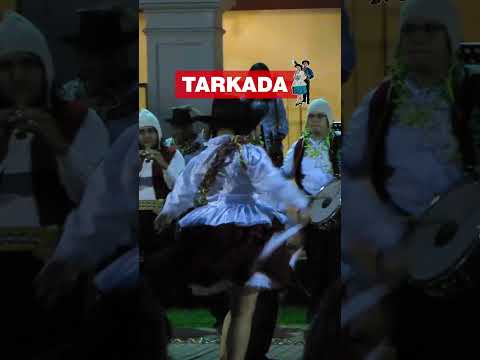 🔴 Danza: Tarkada 🔴 [#tacna #peru #candarave #danzasperuanas  #carnavales ]