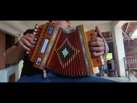TARANTELLA CALABRESE BRUNO MARZANO SOLO ORGANETTO IN (DO#)