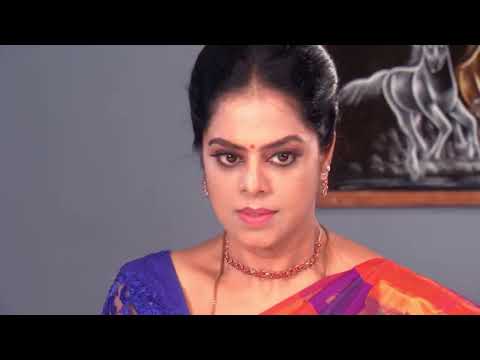 Raktha Sambandham - Ep 378 - Meghana lokesh, Jyothi reddy - Telugu Tv Serial - Zee5 Telugu Classics