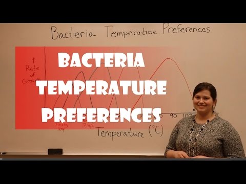 download lagu mp3 mp4 Bacteria And Temperature, download lagu Bacteria And Temperature gratis, unduh video klip Bacteria And Temperature