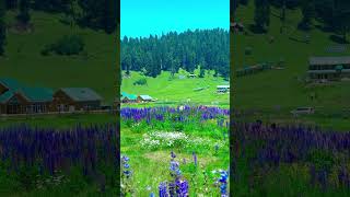 Download lagu aaja baharon ki Malika Mausam badal jaaye Dil ❤️ mp3