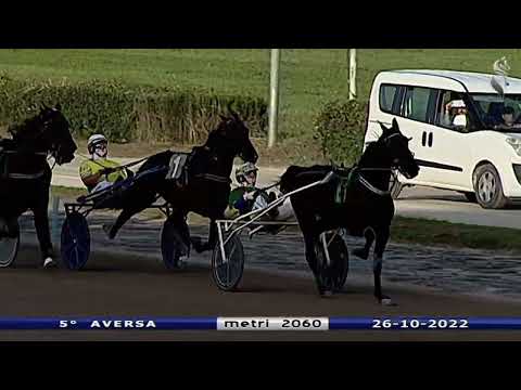 Aversa trotto 26 Ottobre 2022 - 5° Corsa