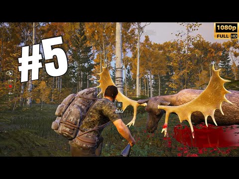 Thrilling Quest Moose Hunting in Colorado's Untamed Wilderness | Hunting Simulator 2