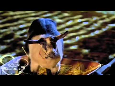 Toata lumea vorbeste film intreg