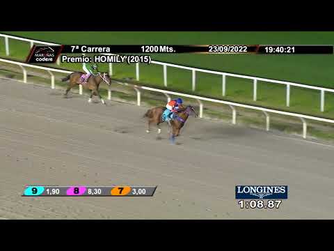 220923 c07 NANDINA (BRZ)