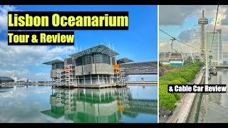 Lisbon Oceanarium - Tour & Review