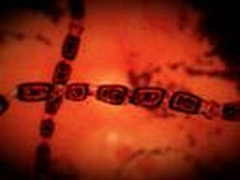 gyomorrák helicobacter pylori condylom podophilin
