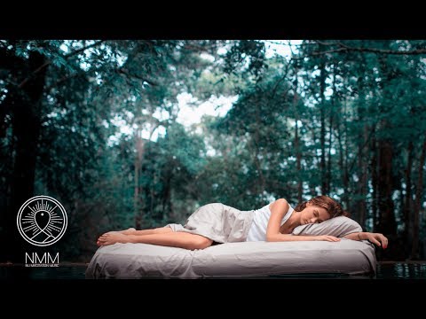 432 hz Sleep Music: Sleeping in the Forest music, relaxing music, frequency sleep meditation 30708S