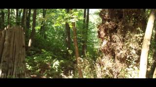 Beck The Horrible Fanfare/ Landslide/ Exoskeleton