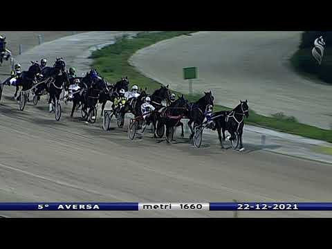 Aversa trotto 22 Dicembre 2021 - 5° Corsa