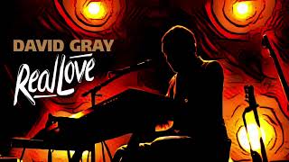 David Gray - Real Love