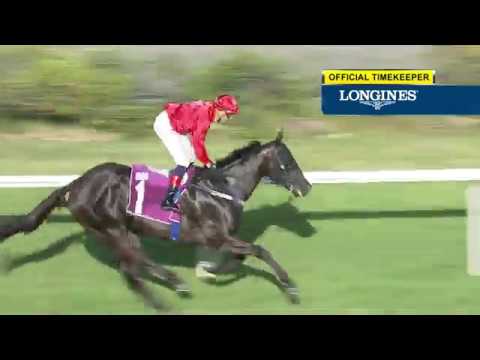 Silver Bowl 2020 (Bold Thruster)