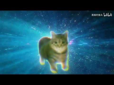 OIIA OIIA CAT 1080p HD ORIGINAL FULL [๏ เ เ ค เ ๏ ๏ ๏ ๏ ๏ เ ค เ]