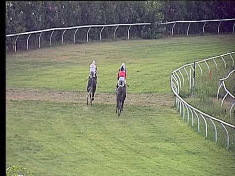 Galoppo 24/08/2019 - 4ª corsa