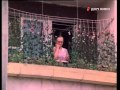 караченцев с гармошкой (кф белые росы).ts 