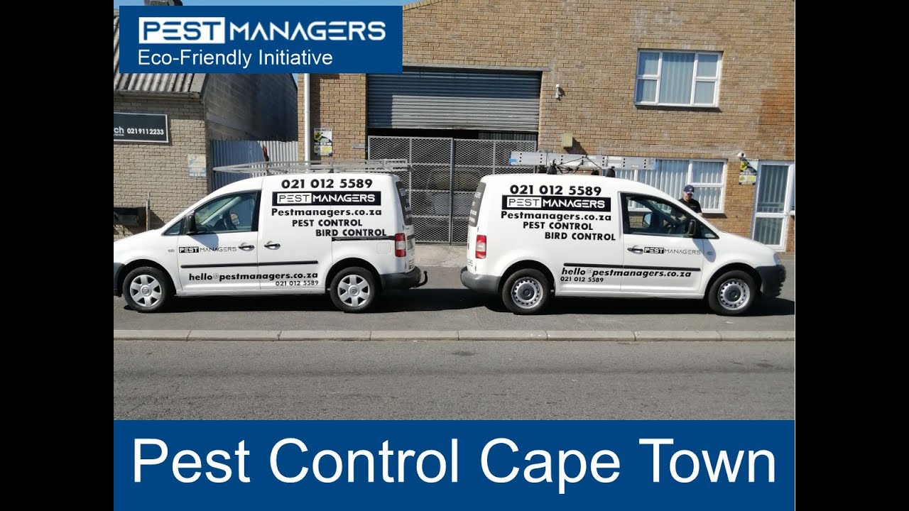 Pest Control Cape Town