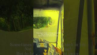 A Rainy Rickshaw Adventure ☔🛺 #shorts #rain # #nature