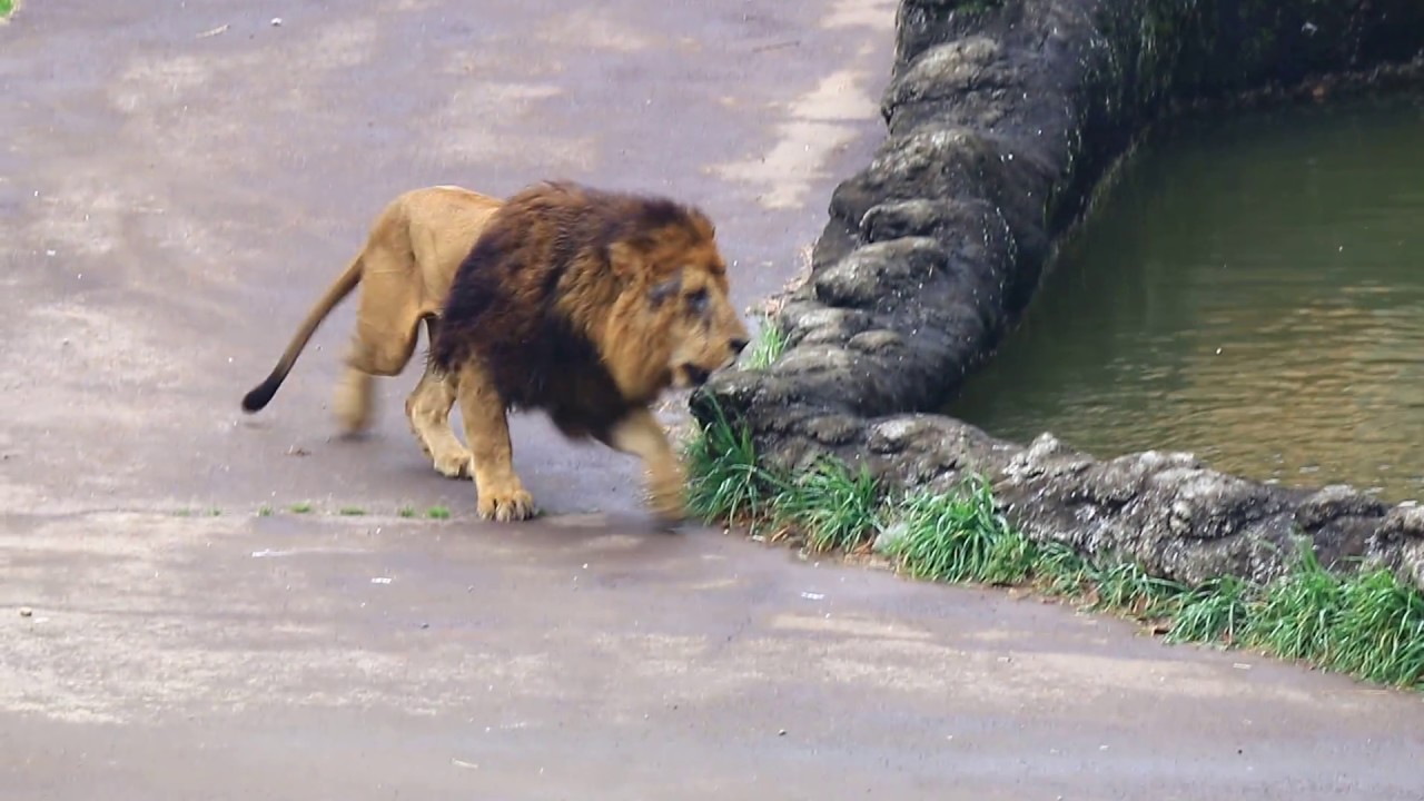 ちょこっとけんか。