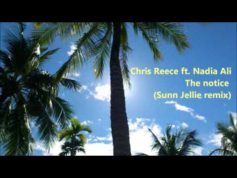 Chris Reece ft. Nadia Ali - The notice (Sunn Jellie remix)