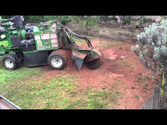 Forest & Garden Tree Services - Grassmere, VIC