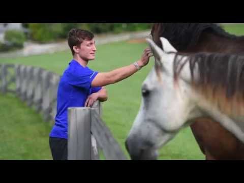 Witness21 Editor  2015 12 01