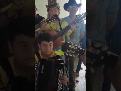 Folia de Reis do Mirandópolis município de Mossâmedes Goiás