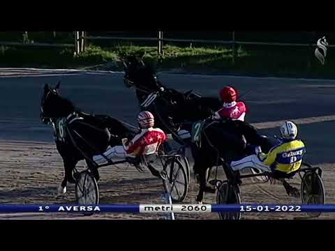 Aversa trotto 15 Gennaio 2022 - 1° Corsa
